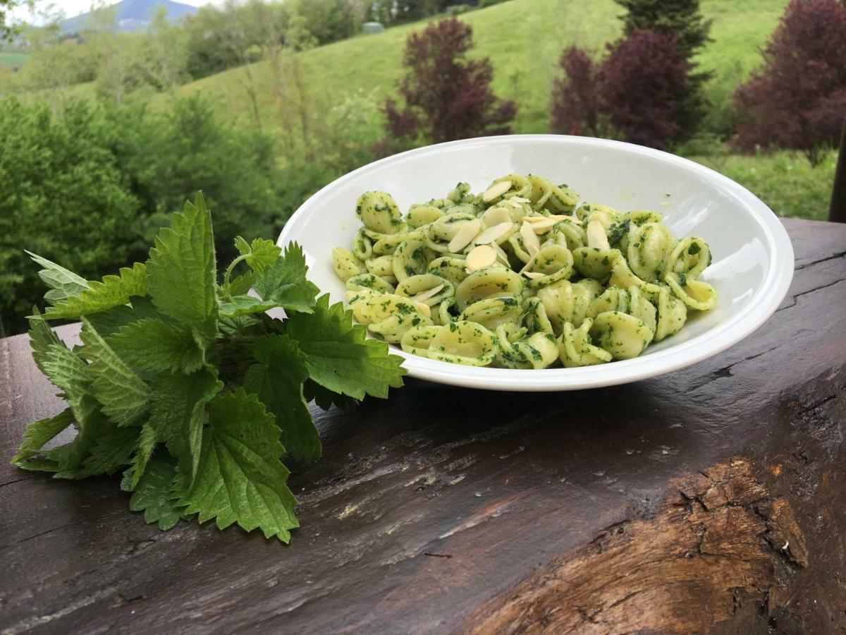 Agriturismo Gioie Di Campagna Fabriano Eksteriør billede