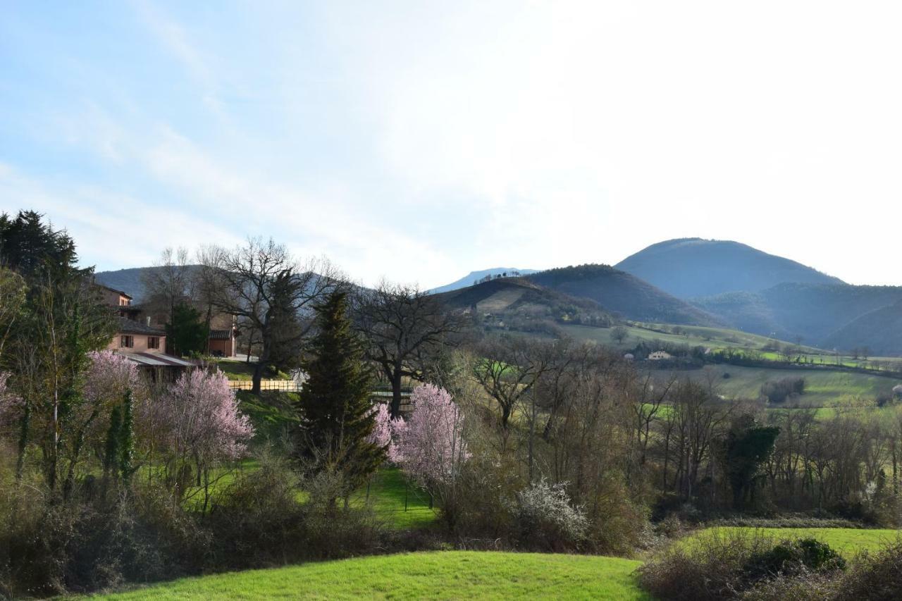 Agriturismo Gioie Di Campagna Fabriano Eksteriør billede